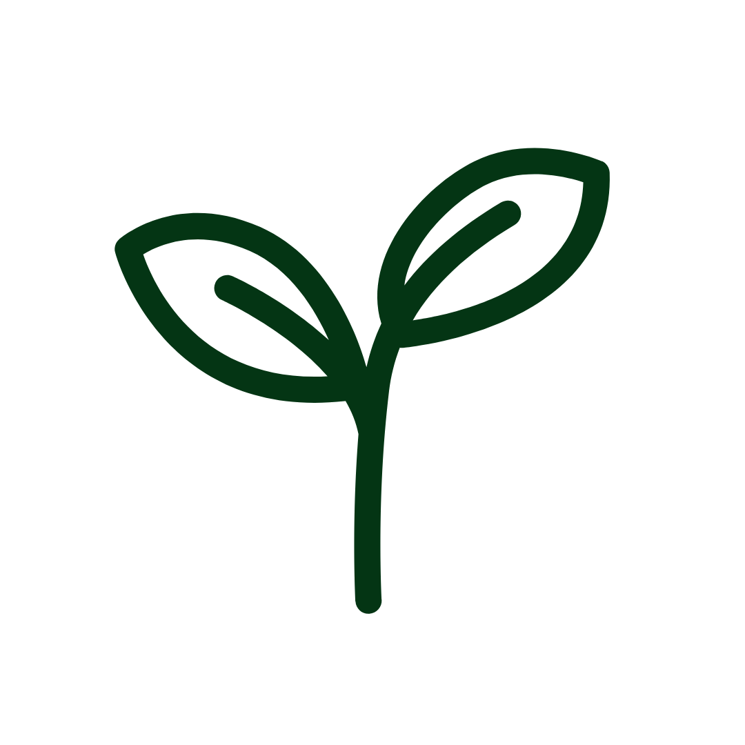 shopify auction